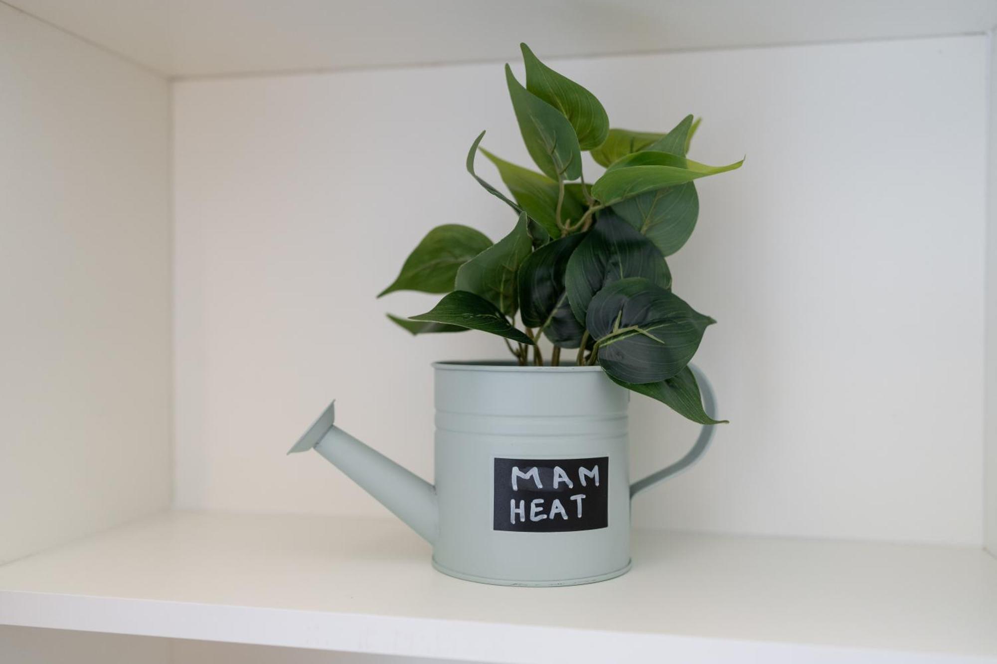 Apartment Mam Heat - Viana Centre